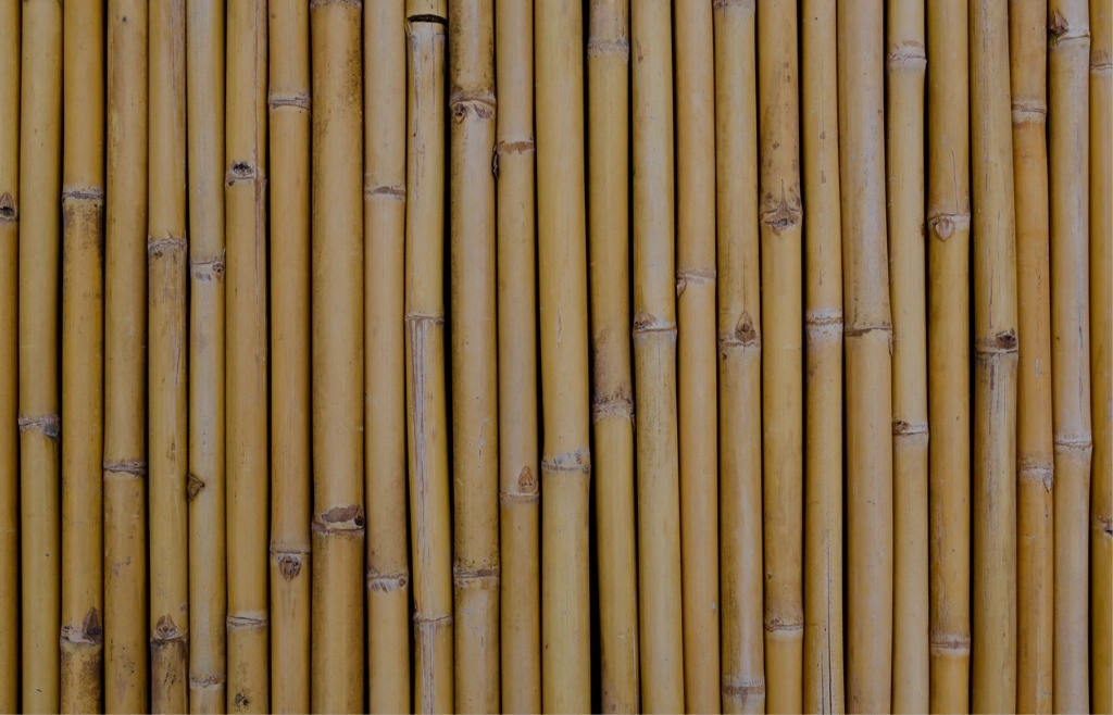 mur de bambou
