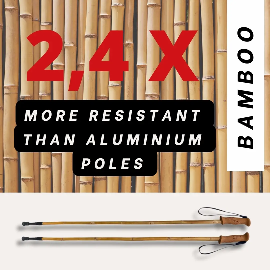 resistance bambou