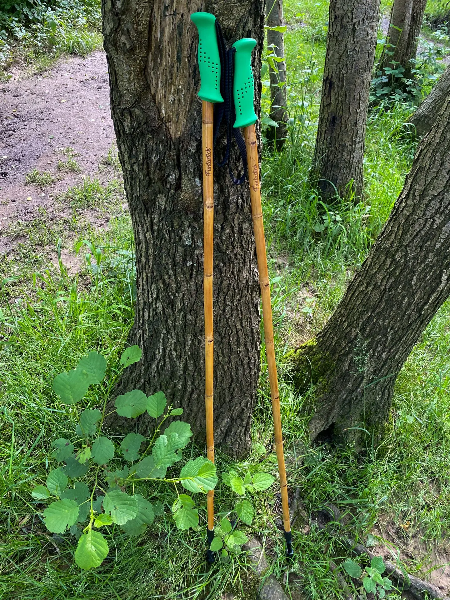 batons rando funtastick verts