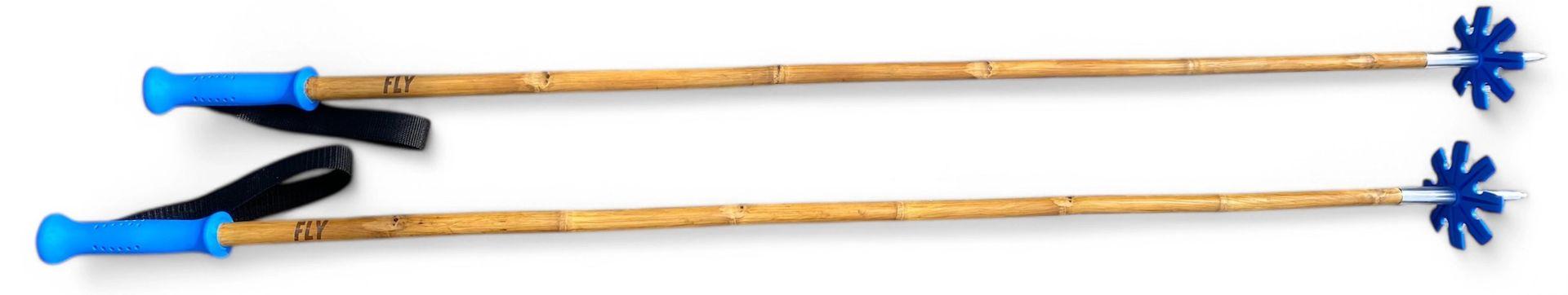 batons de ski bleus