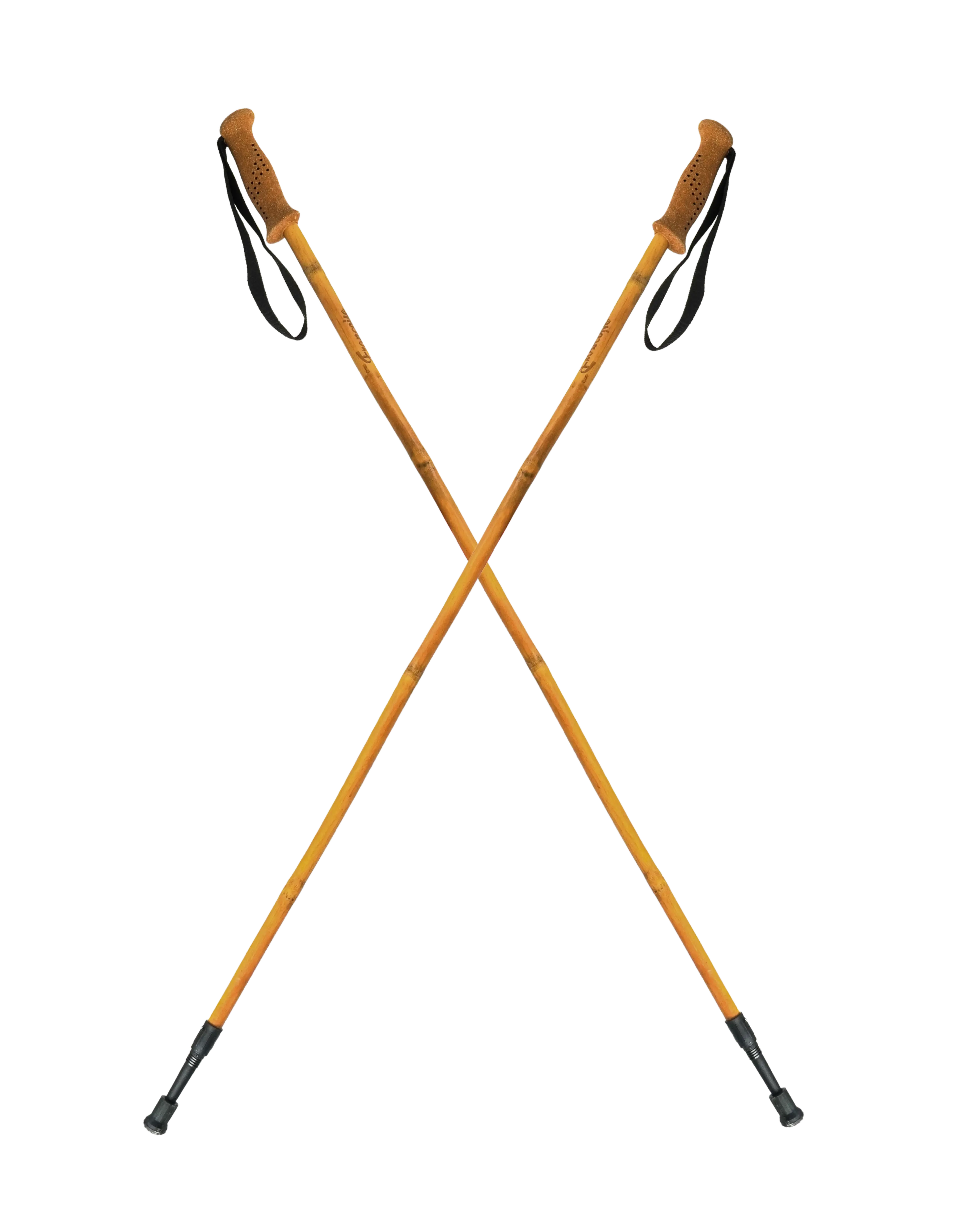 batons de rando croisés 