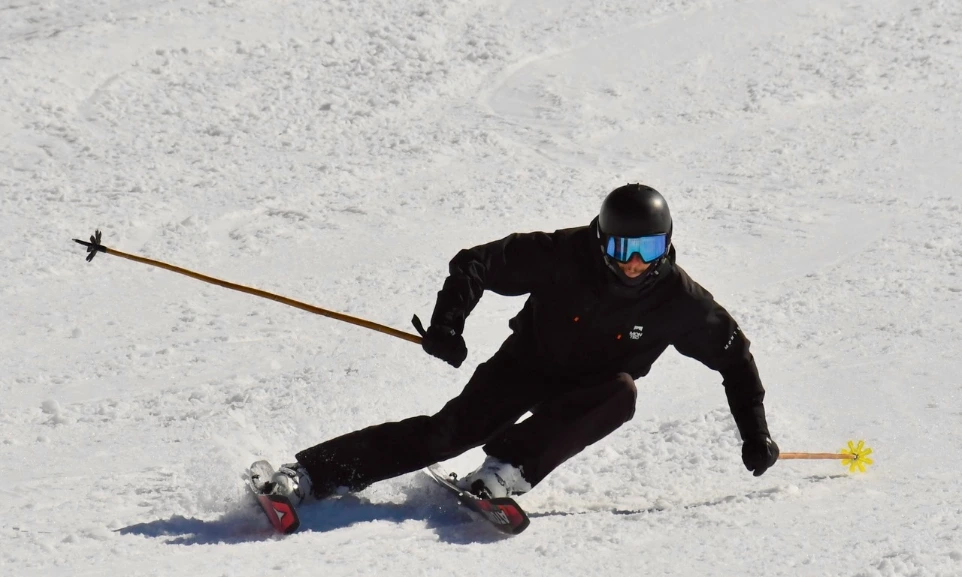 Freeride ski poles 2