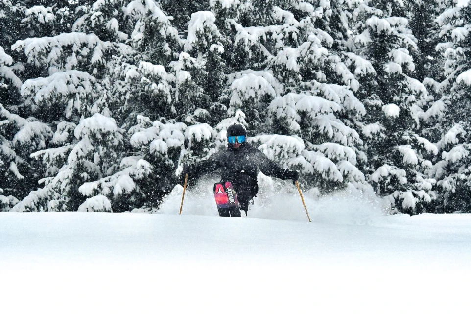 Freeride ski poles 3