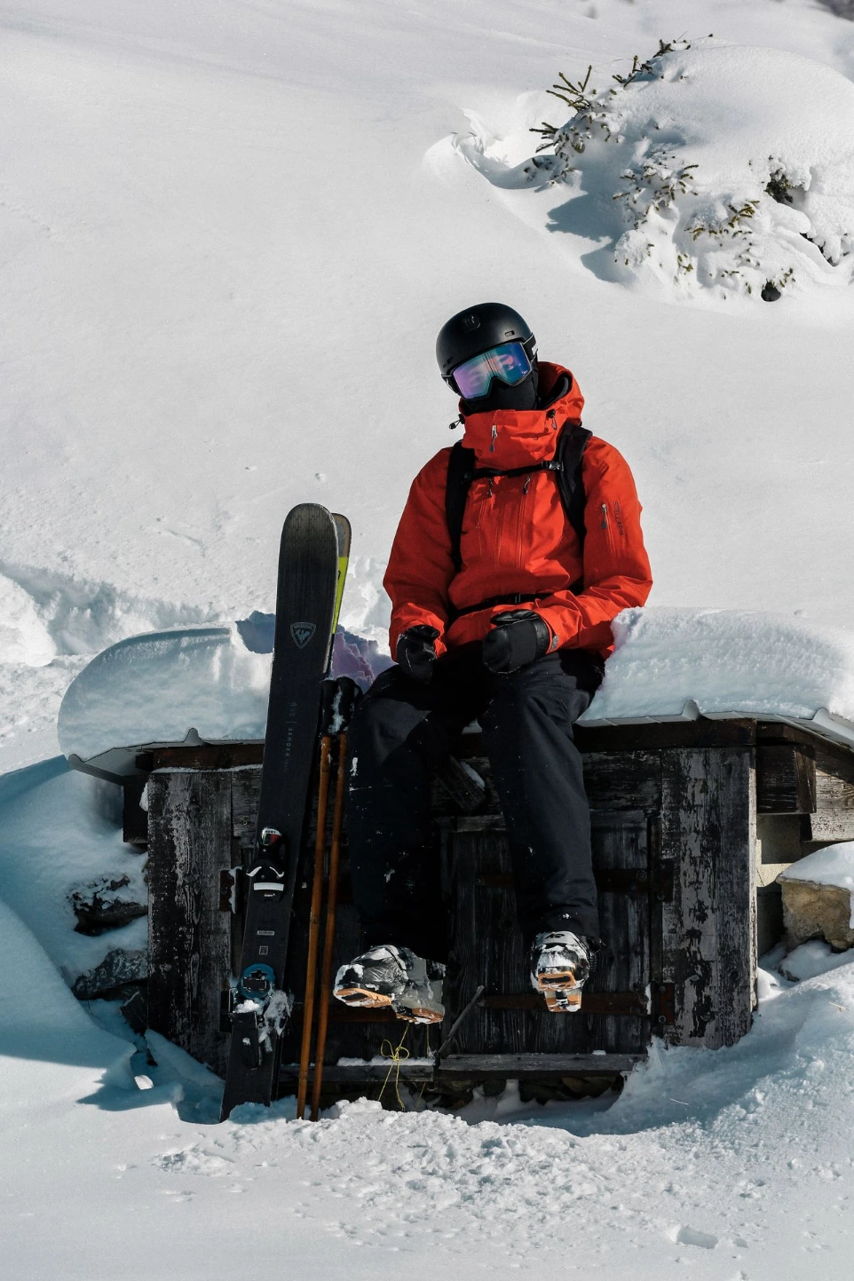 Freeride ski poles 3
